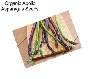 Organic Apollo Asparagus Seeds