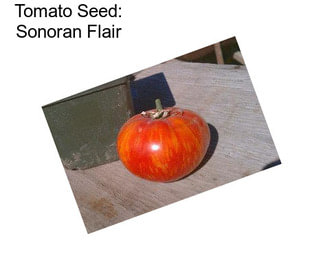 Tomato Seed: Sonoran Flair