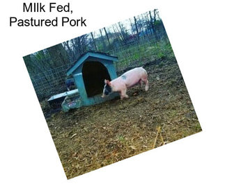 MIlk Fed, Pastured Pork