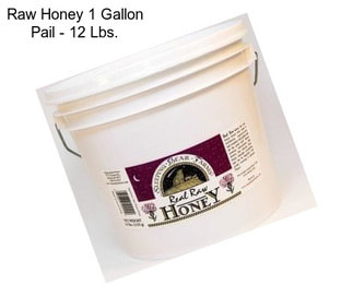 Raw Honey 1 Gallon Pail - 12 Lbs.