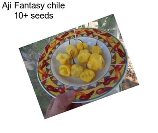 Aji Fantasy chile 10+ seeds