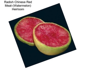 Radish Chinese Red Meat-(Watermelon) Heirloom