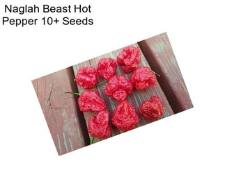 Naglah Beast Hot Pepper 10+ Seeds