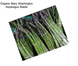Organic Mary Washington Asparagus Seeds