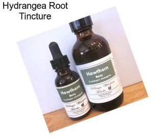 Hydrangea Root Tincture