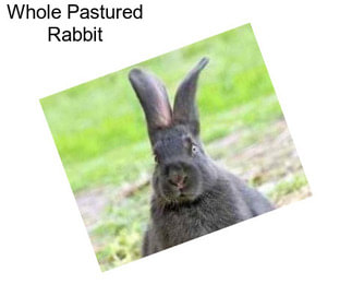 Whole Pastured Rabbit