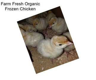 Farm Fresh Organic Frozen Chicken