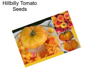 Hillbilly Tomato Seeds