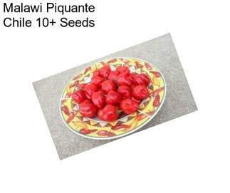 Malawi Piquante Chile 10+ Seeds