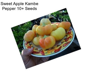 Sweet Apple Kambe Pepper 10+ Seeds