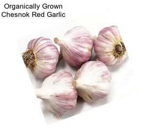 Organically Grown Chesnok Red Garlic