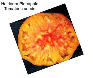 Heirloom Pineapple Tomatoes seeds