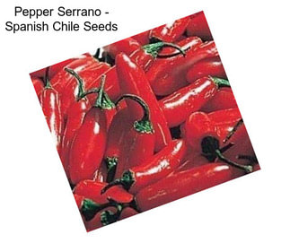 Pepper Serrano - Spanish Chile Seeds