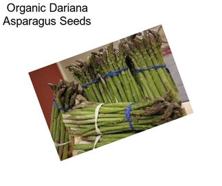 Organic Dariana Asparagus Seeds