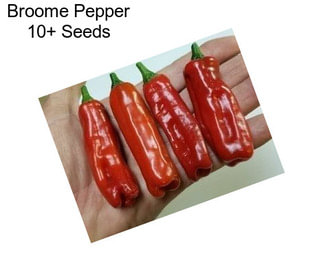 Broome Pepper 10+ Seeds