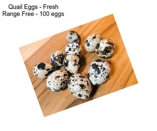 Quail Eggs - Fresh Range Free - 100 eggs