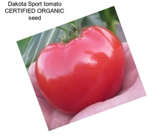 Dakota Sport tomato CERTIFIED ORGANIC seed