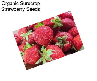 Organic Surecrop Strawberry Seeds