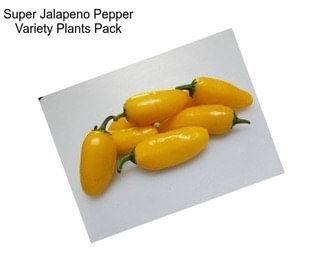 Super Jalapeno Pepper Variety Plants Pack