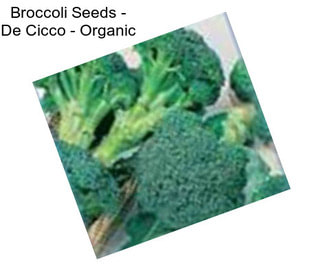 Broccoli Seeds - De Cicco - Organic