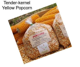 Tender-kernel Yellow Popcorn