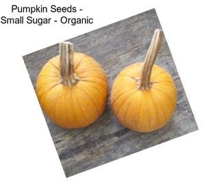 Pumpkin Seeds - Small Sugar - Organic