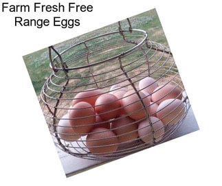 Farm Fresh Free Range Eggs