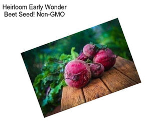 Heirloom Early Wonder Beet Seed! Non-GMO