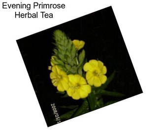 Evening Primrose Herbal Tea