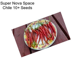 Super Nova Space Chile 10+ Seeds