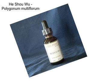 He Shou Wu - Polygonum multiflorum