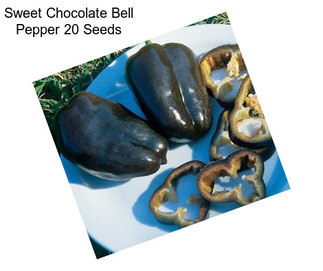 Sweet Chocolate Bell Pepper 20 Seeds