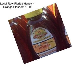 Local Raw Florida Honey - Orange Blossom 1 LB