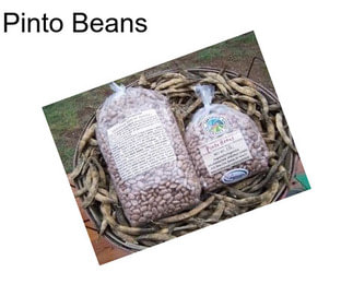 Pinto Beans