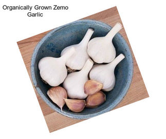 Organically Grown Zemo Garlic
