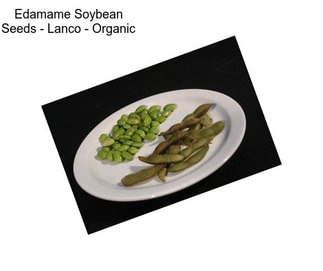 Edamame Soybean Seeds - Lanco - Organic