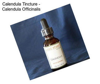 Calendula Tincture - Calendula Officinalis