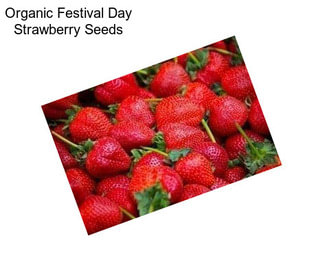 Organic Festival Day Strawberry Seeds