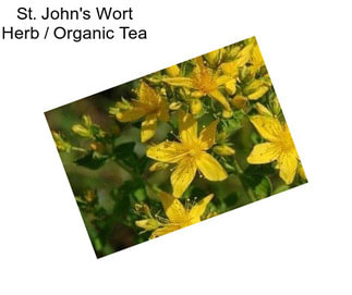 St. John\'s Wort Herb / Organic Tea