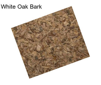 White Oak Bark