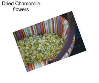 Dried Chamomile flowers