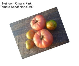 Heirloom Omar\'s Pink Tomato Seed! Non-GMO