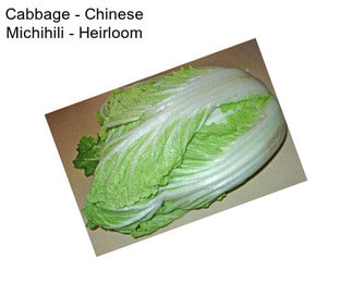 Cabbage - Chinese Michihili - Heirloom