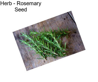 Herb - Rosemary Seed
