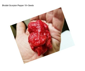 Bhutlah Scorpion Pepper 10+ Seeds