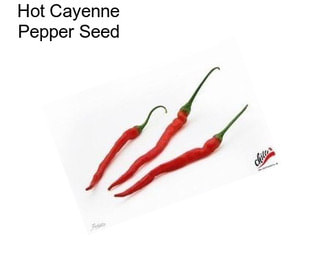 Hot Cayenne Pepper Seed