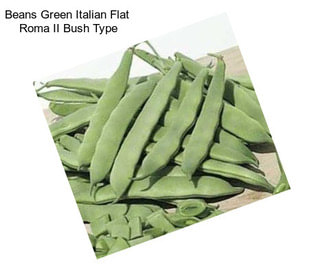 Beans Green Italian Flat  Roma II Bush Type