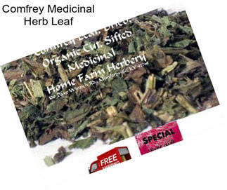 Comfrey Medicinal Herb Leaf