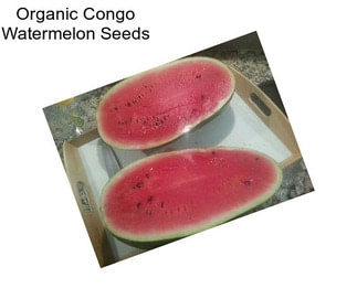 Organic Congo Watermelon Seeds