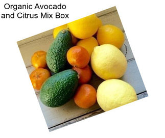 Organic Avocado and Citrus Mix Box